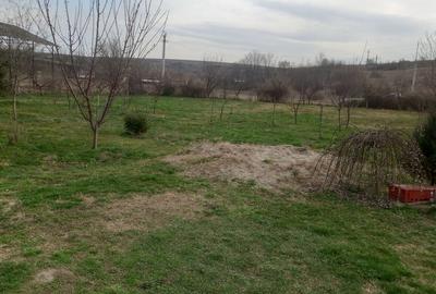 Teren de 2800 mp, în Blaj - 2