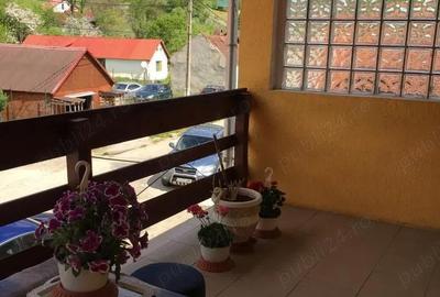 Pensiune turistica Valiug Crivaia - 2