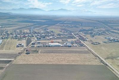 Teren Extravilan, P.U.Z. inceput - 13