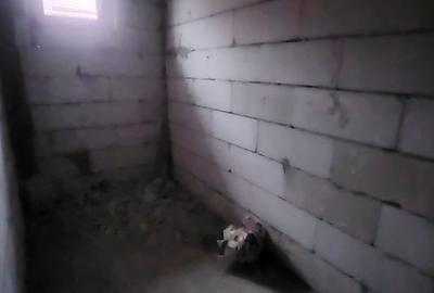 Casă cu 5 camere cu Teren 666 Mp în Șerbănești - 19