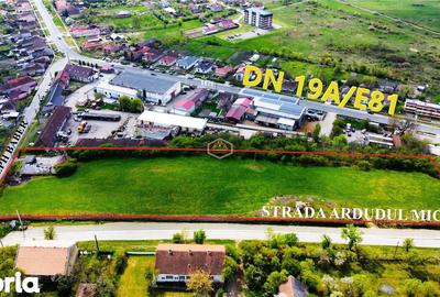 Teren de 12180 mp, în Burdea - 2