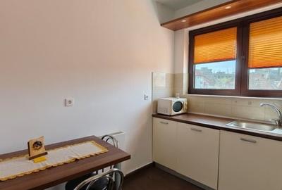 De închiriat: apartament 3 camere - Kiseleff - Victoriei - 5