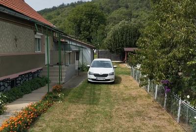 Casa de vanzare ?eica Mare - 3