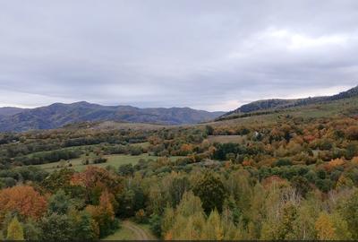 Teren ideal recreere/conectare cu natura/zona Fagaras/achitare in rate - 16