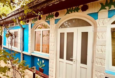 Casa batraneasca de vanzare, cu anexe, 2900 mp teren, zona Pausesti