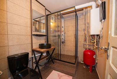 Vila de vanzare D+P+M in zona Muncii - 18