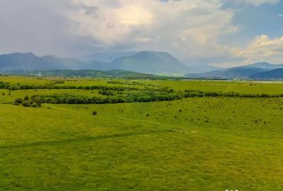 Teren de 10800 mp, în Râșnov - 18