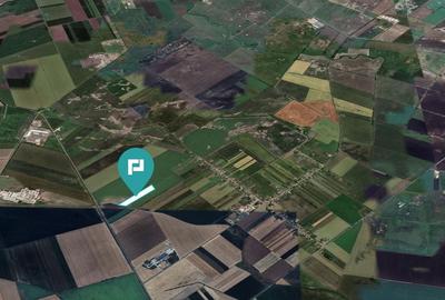 Teren extravilan de 22500 mp în Variașul Mare Teren extravilan de 22500 mp în Variașul Mare - 2