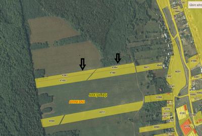 Teren de 10500 mp, în Aroneanu