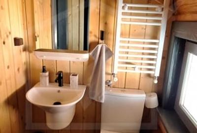 Inchiriere vila de lux, Campenesti dotari de exceptie - 23