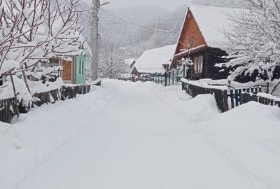 Casa de vacanta in Baiut - 12