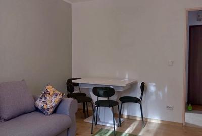 Apartament cu 2 camere decomandat în Vest - 5