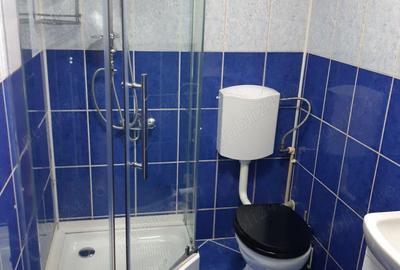 Garsonieră decomandată, mobilată în Theodor Pallady - 3