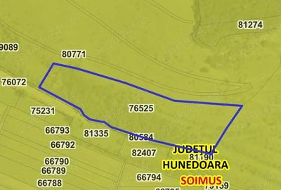 Teren de 16100 mp, în Bălata - 3