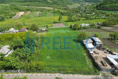 Teren de vanzare, Sat Valea Mare, Com. Ro?iori, Bacau - 2