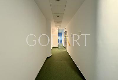 Spațiu de Birouri Premium | Etaj Integral | 455 mp - 7