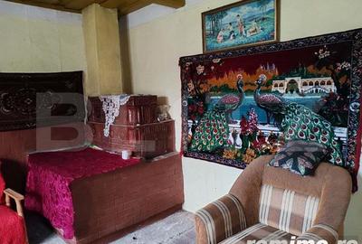 Casa batraneasca 95 mp, teren 1900mp, Stroiesti - 9