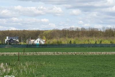 Spațiu comercial, în Balotești - 6