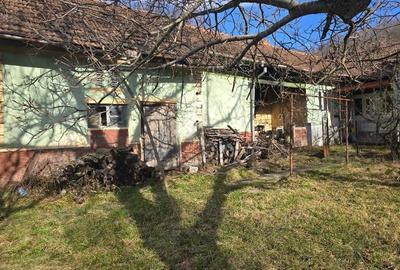 Casă cu 3 camere cu Teren 2500 Mp în Pietroasa - 18