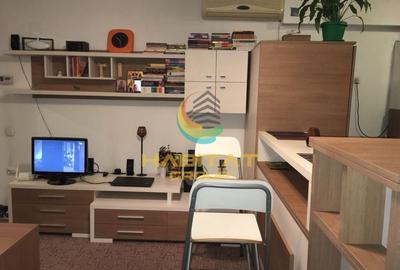 Apartament cu 2 camere decomandat, mobilat în Drumul Taberei - 17
