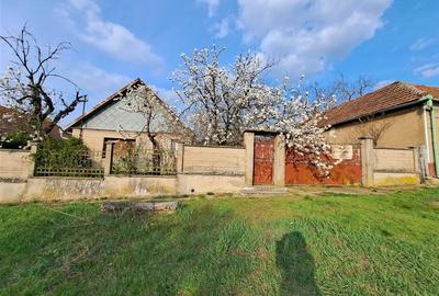 Casă individuală cu 2 camere cu Teren 1435 Mp în Șișterea - 16