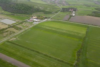 Teren extravilan de 22500mp Zona Ineu - 6