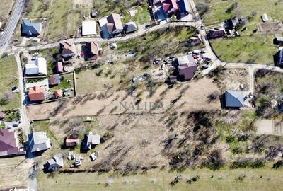 Spațiu comercial, în Central