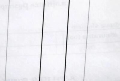 Teren în Odoreu - 2