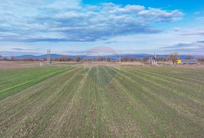 Teren agricol intravilan de 5300 mp, în Prejmer - 9