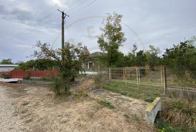 Teren 3000mp intravilan in Mavrodolu, AG - 7