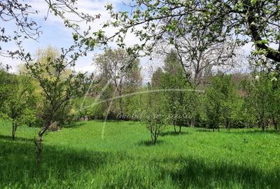 Teren de 1740 mp cu casa intabulata in PH-Provita de Sus - 3