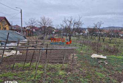 Casă cu 5 camere cu Teren 1651 Mp în Bărăbanț - 14