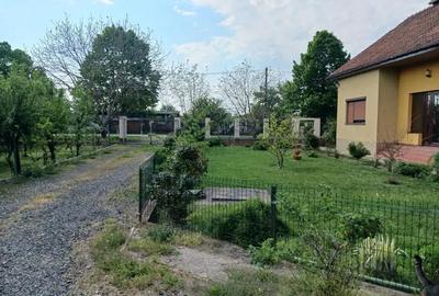 Casă cu 6 camere în Bazoș - 8