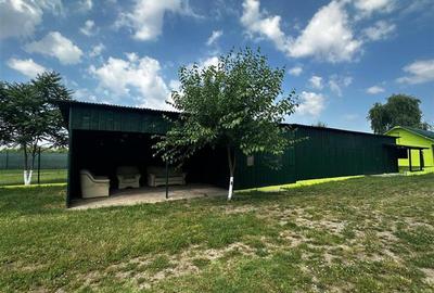 Birou, de 607 mp, în Mărășești - 12