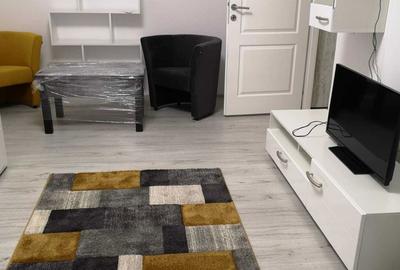 Garsonieră decomandată în Valea Ialomiței - 7