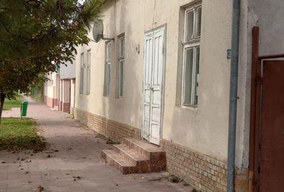 Casă cu 2 camere cu Teren 2400 Mp în Beba Veche - 1