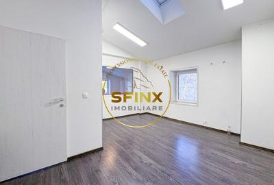Birou, de 300 mp, în Dacia - 9