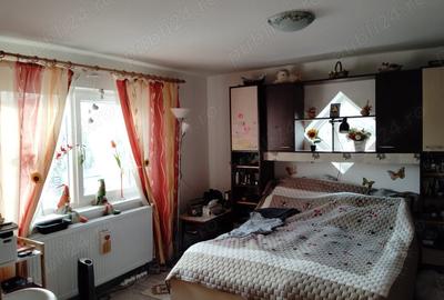 Casă cu 3 camere cu Teren 13000 Mp în Stănița - 6