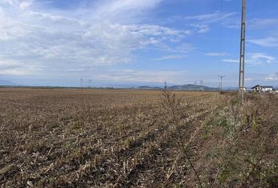 Teren dezvoltare rezidentiala Tarlungeni - zona Izvor - 1