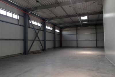 Hale noi in zona Drumul Intre Tarlale - 3