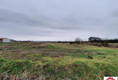 Teren intravilan 12216 mp in Vetis construibil - 6