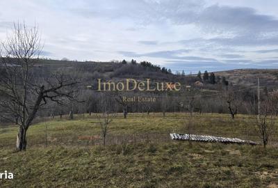 Spațiu comercial, în Baciu - 7