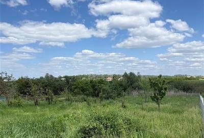 RECO, CASA IN UNGARIA, 30 KM DE ORADEA RECO, CASA IN UNGARIA, 30 KM DE ORADEA - 7