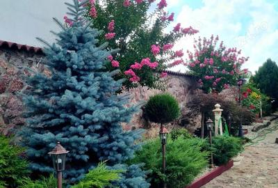 Casă cu 1 camere cu Teren 764 Mp în Grădiște - 1