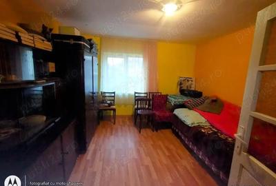 Casă cu 4 camere cu Teren 2600 Mp în Bozânta Mică - 6