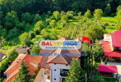 Comision 0! Vila deosebita cu iesire la padure, Sp P 1E M , - 7