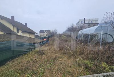 Teren de 1600 mp, în Viișoara - 3