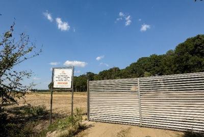 Ideal Forest -vindem LOT 31 - 716 m2 - 20