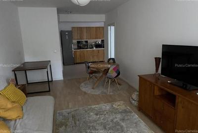 Apartament cu 2 camere decomandat, mobilat în Baba Novac - 3