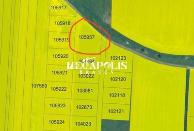 Teren Construcții intravilan de 1200 mp, în Bod - 2